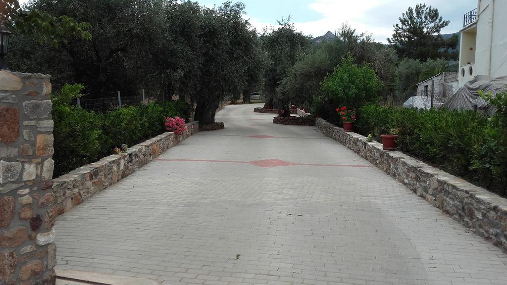 Studios Elianthos Skála Kallirákhis Exteriör bild